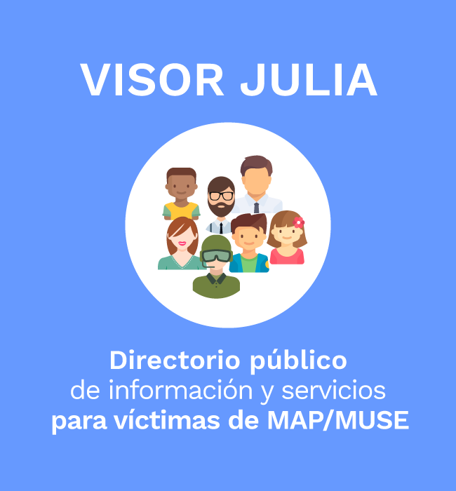Visor Julia