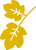 Decoración derecha